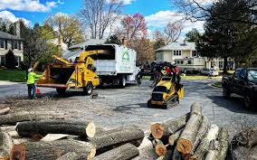 Best Tree Preservation Services  in Lockland, OH