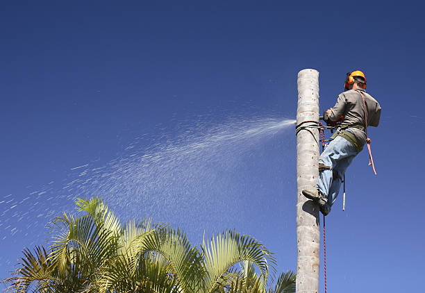  Lockland, OH Tree Care Pros